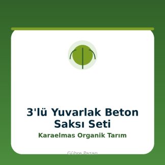 3'lü Yuvarlak Beton Saksı Seti Karaelmas Organik Tarım