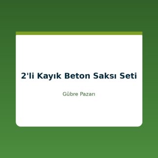 2'li Kayık Beton Saksı Seti-Karaelmas Organik Tarım