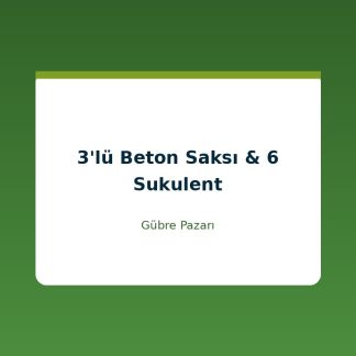 KaraElmas Organik Tarım 3'lü Yuvarlak Beton Saksı Ve 6 Adet Sukulent 3 Litre Karaelmas Bahçe Hediyeli