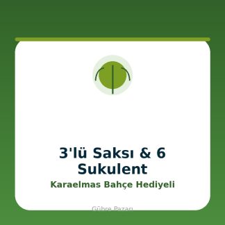 KaraElmas Organik Tarım 3'lü Yuvarlak Beton Saksı Ve 6 Adet Sukulent 3 Litre Karaelmas Bahçe Hediyeli