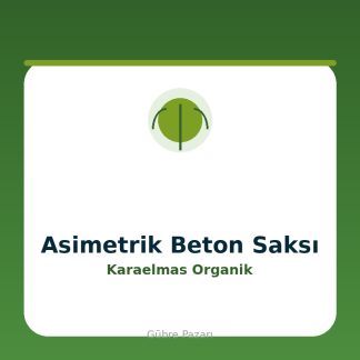 Asimetrik Beton Saksı-Karaelmas Organik Tarım