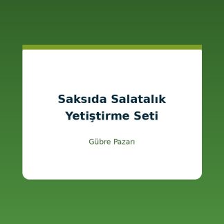 Saksıda Salatalık Yetiştirme Seti - Tohum Gübre Saksı